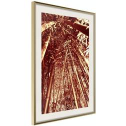 Arkiio Affisch Tall Bamboos [Poster] 20x30 Poster